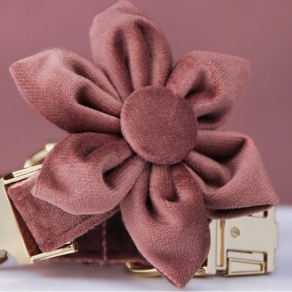 🐾🌸2 Velvet Flower Collar Bows for $16🌸🐾 🆕 - Picture 2 of 5